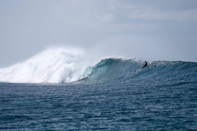 Protect the Maldives! - Carvemag.com