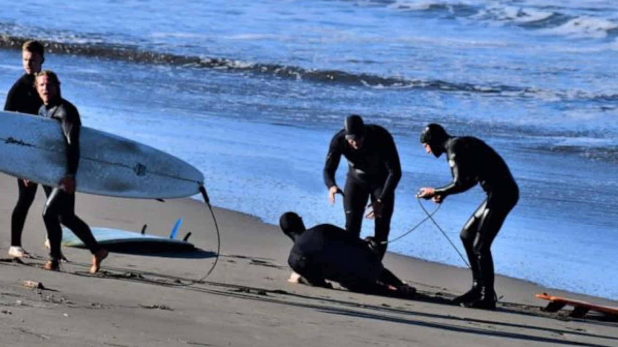 Shark Attacks Surfer